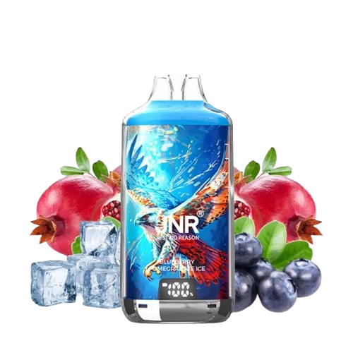 Falcon-X - Blueberry Pomegranate Ice - 28000 - JNR