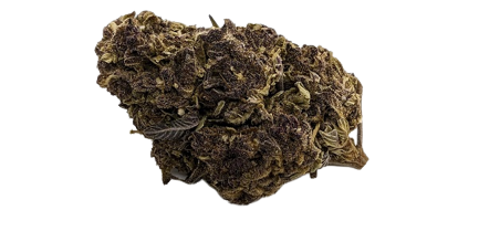 Sakura Hydro