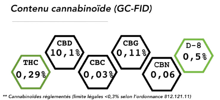 Jack Herer Hydroponie