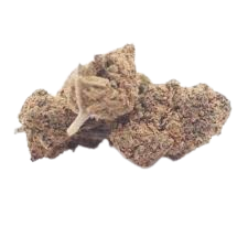 Cali Kush Hydroponie