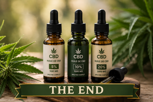 Produits CBD retirés du marché le 15 mai : comprendre la loi Novel Food et ses conséquences