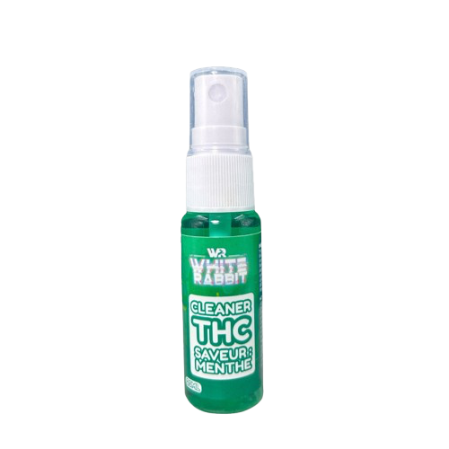 Spray Cleaner Menthe