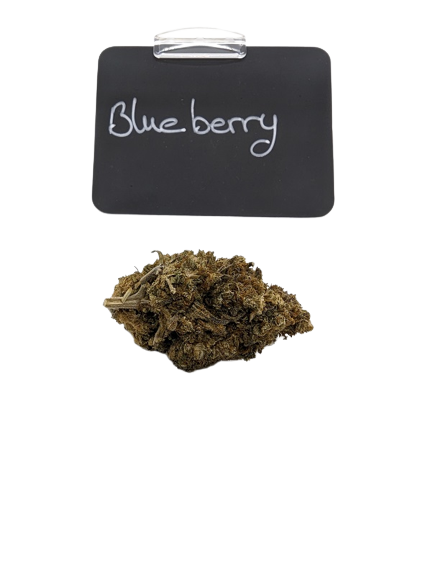 Blueberry Hydro