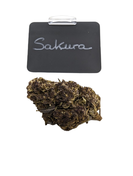 Sakura Hydro